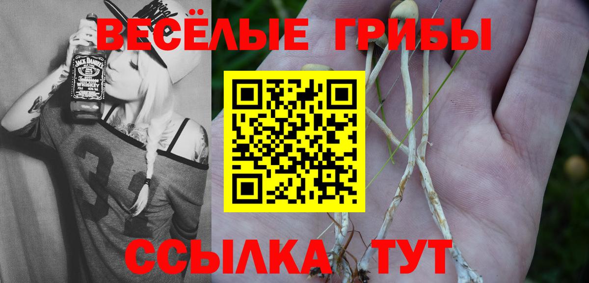 Псилоцибиновые грибы мухоморы  Вход с VPN  Псилоцибиновые грибы мицелий  Новочебоксарск 