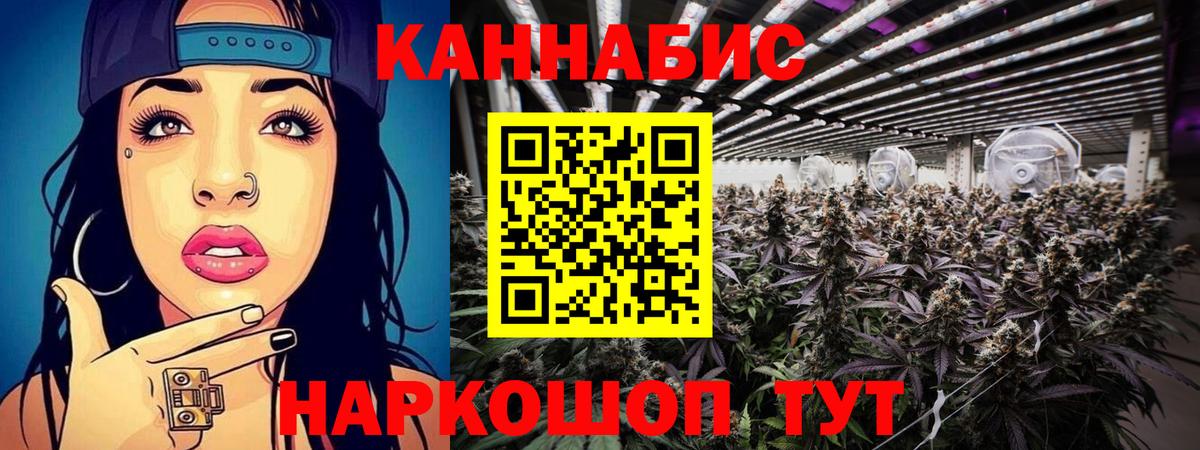 Шишки марихуана планчик  Вход с VPN  Бошки Шишки ГИДРОПОН  Бошки Шишки сатива  Новочебоксарск  Конопля Ganja 